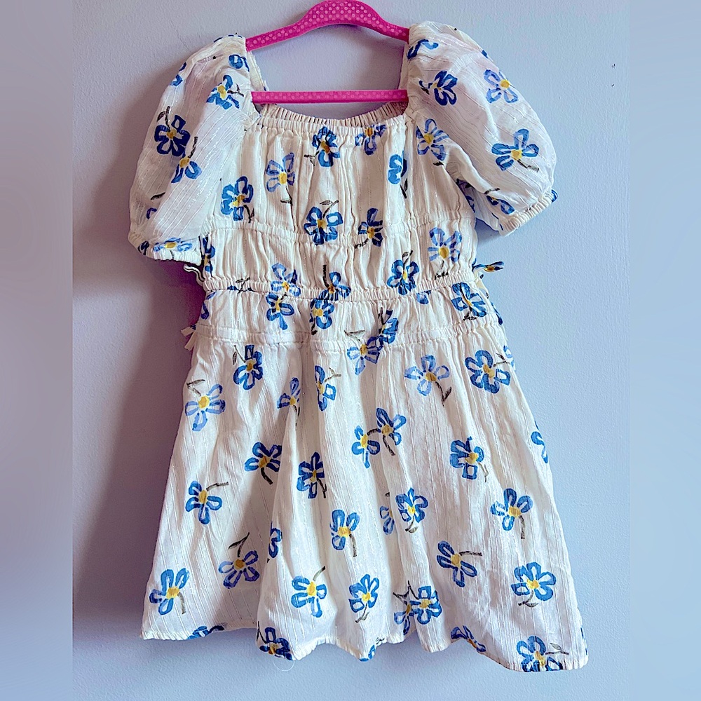 EUC Crewcuts Toddler White Dress With Blue Flowers